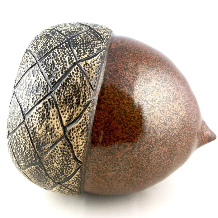 ACORN #1