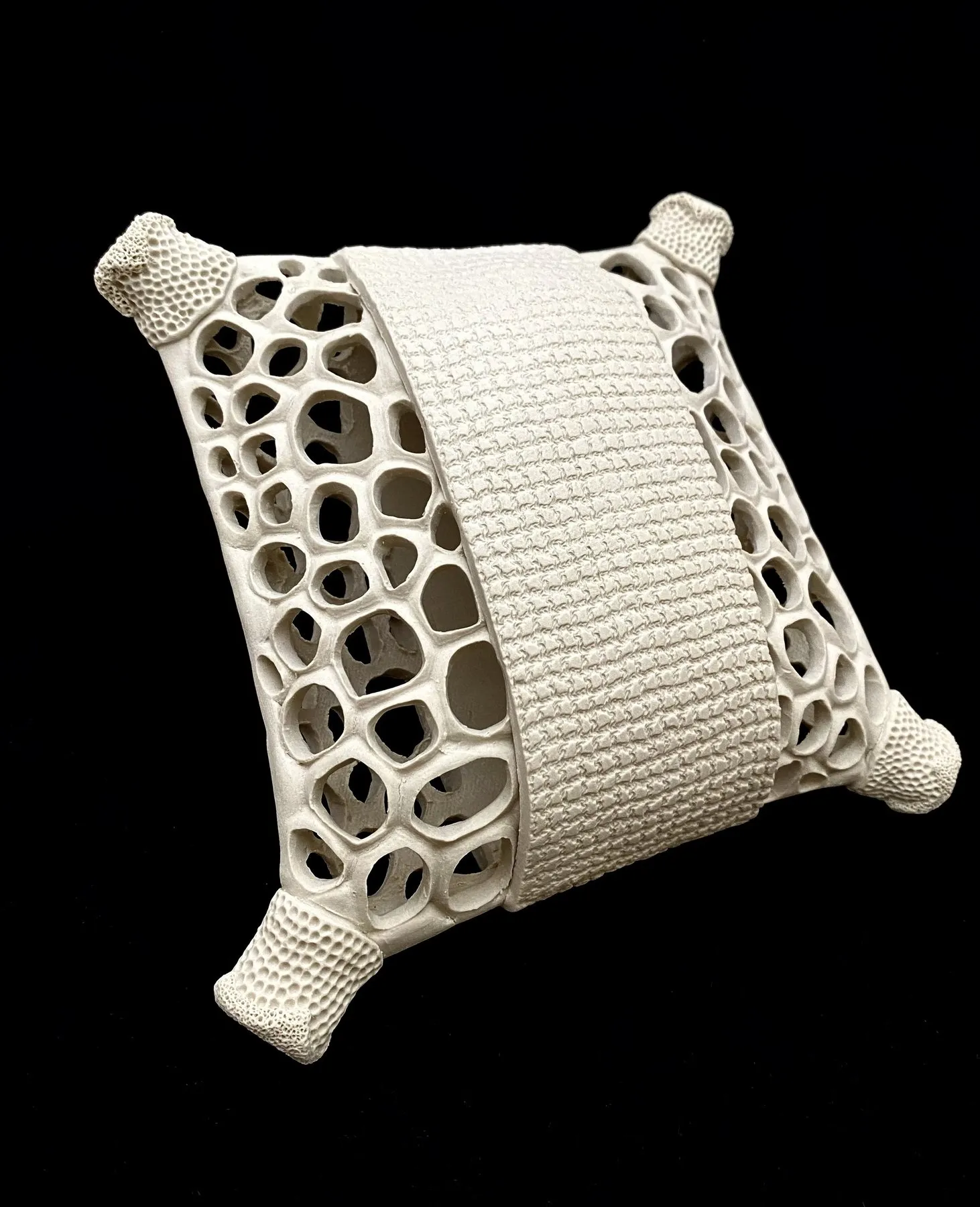 Sculpture: Diatom Series