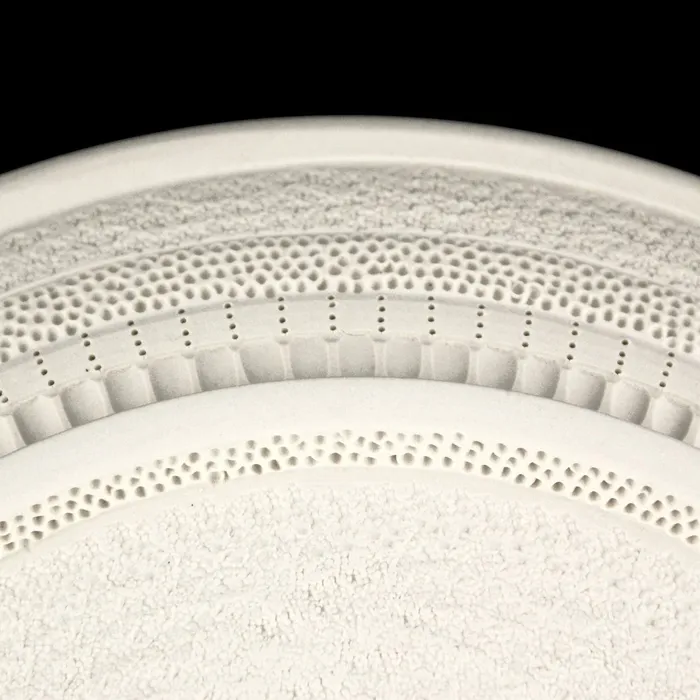 Diatom platter, detail