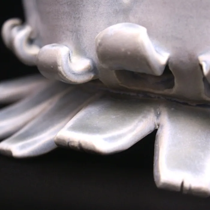 Poppy pod, detail