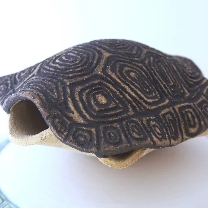 Tortuga, detail