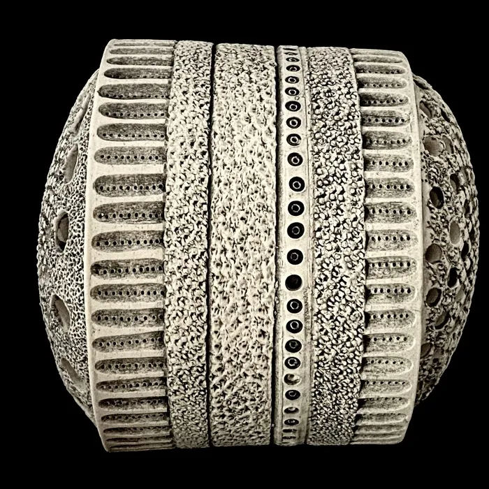 Centric Diatom pierced sculpture, view #2