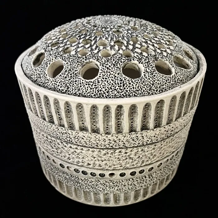 Centric Diatom Pierced Sculpture