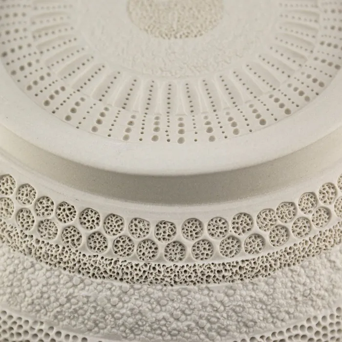 Diatom Bowl, detail