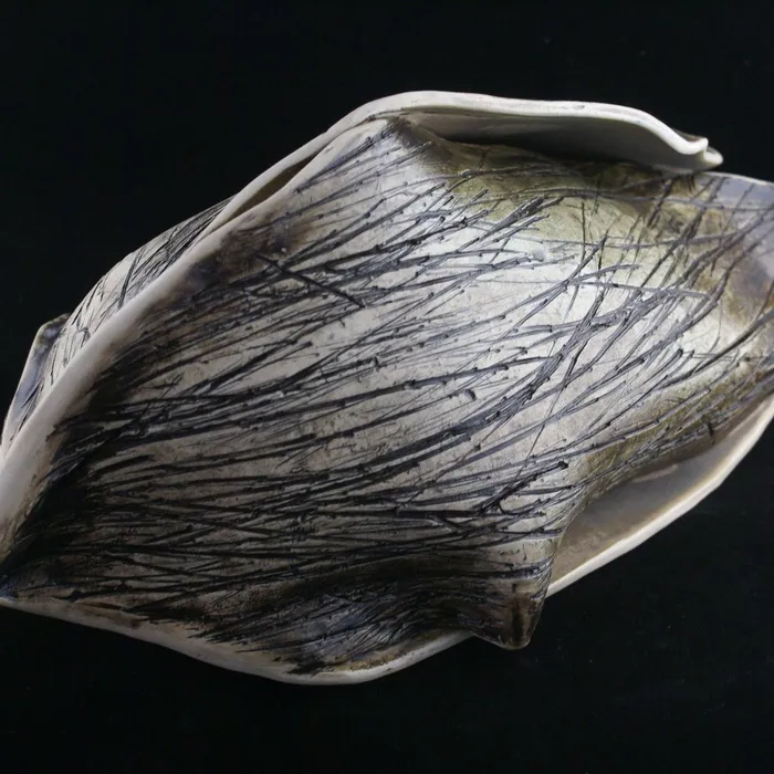 Siberian Iris, reclined
