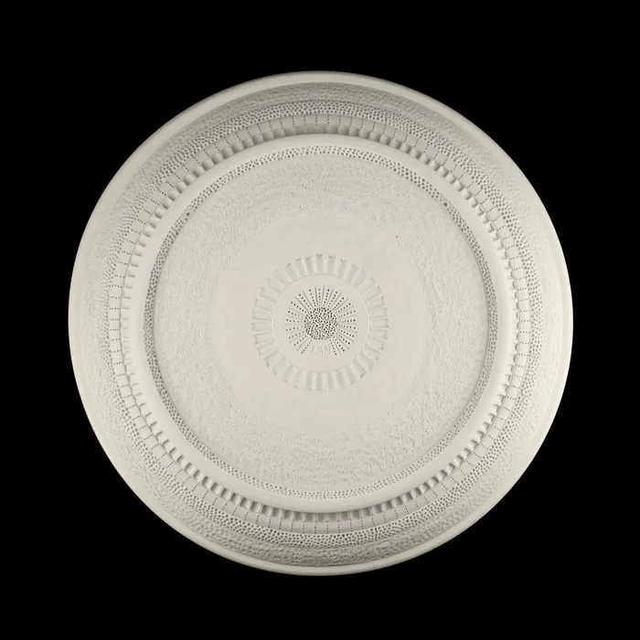 Diatom Platter, reverse