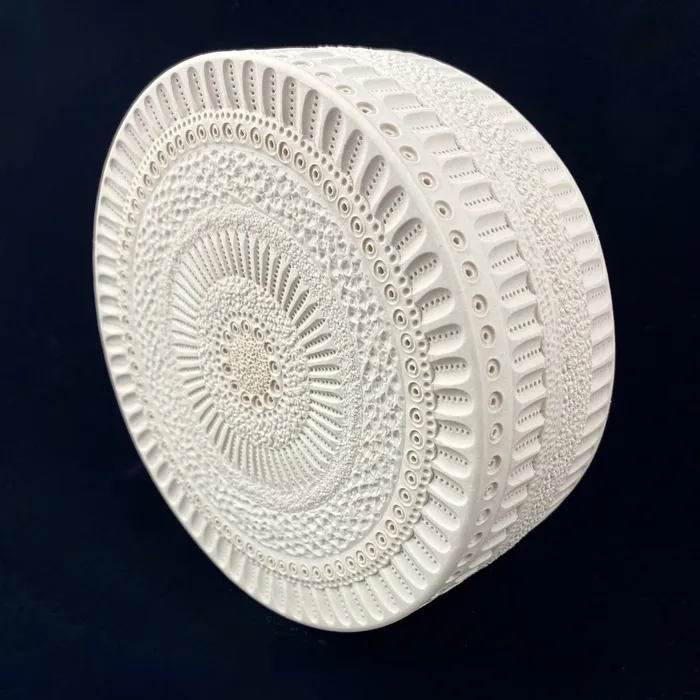 White Centric Diatom Wall Sculpture