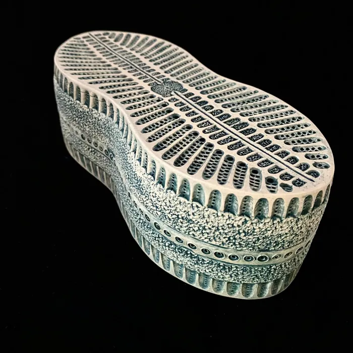Peanut shaped diatom sculpture, sea green