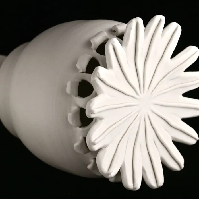 Poppy Pod