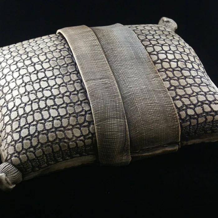 "Biddulphia reticulata" Pillow Diatom