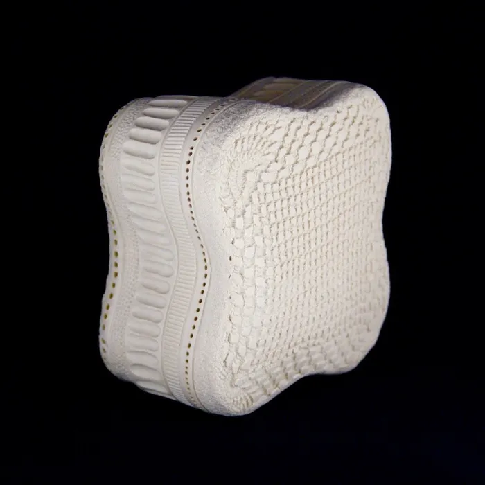 Diatom Sculpture/wall hanging