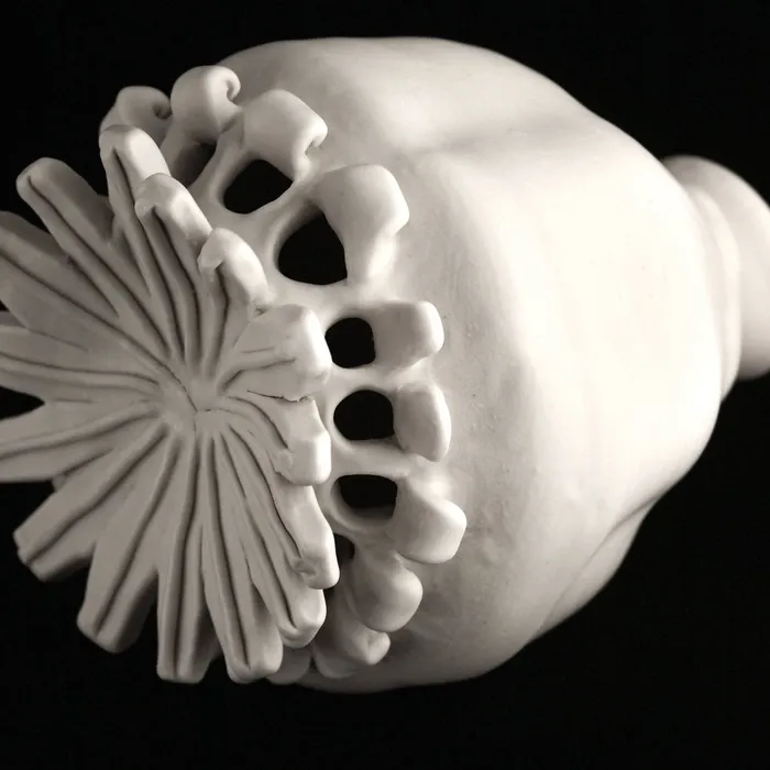 Poppy Pod