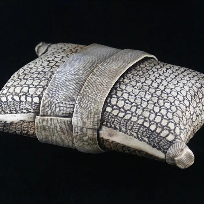 "Biddulphia reticulata" Pillow Diatom