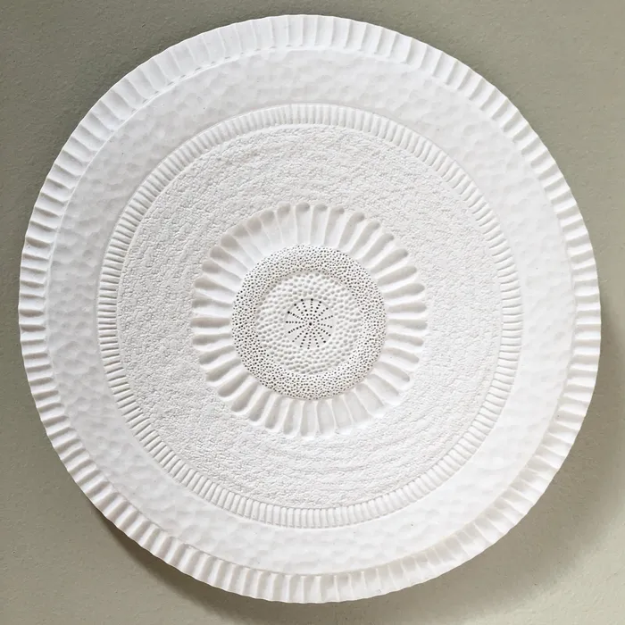 Centric diatom wall hanging