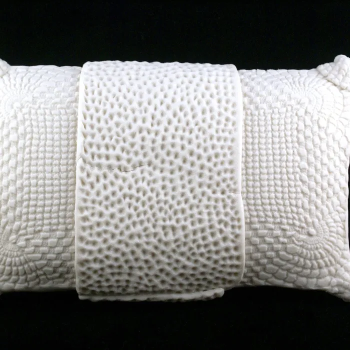 Pillow Diatom #2