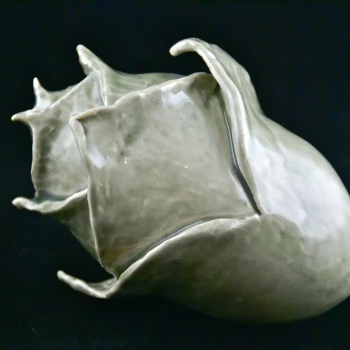 Cedar Pod
