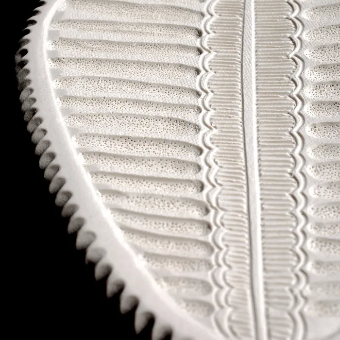Diploneis crabro, detail