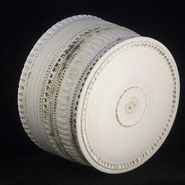 "Melosira sulcata"