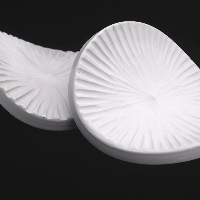 saddle diatoms