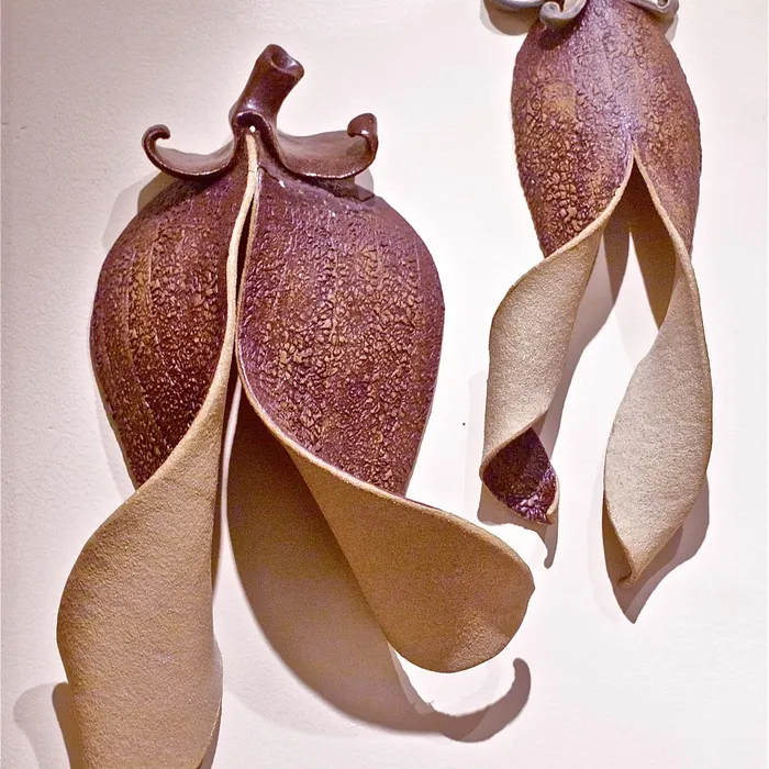 Pea Family, opening