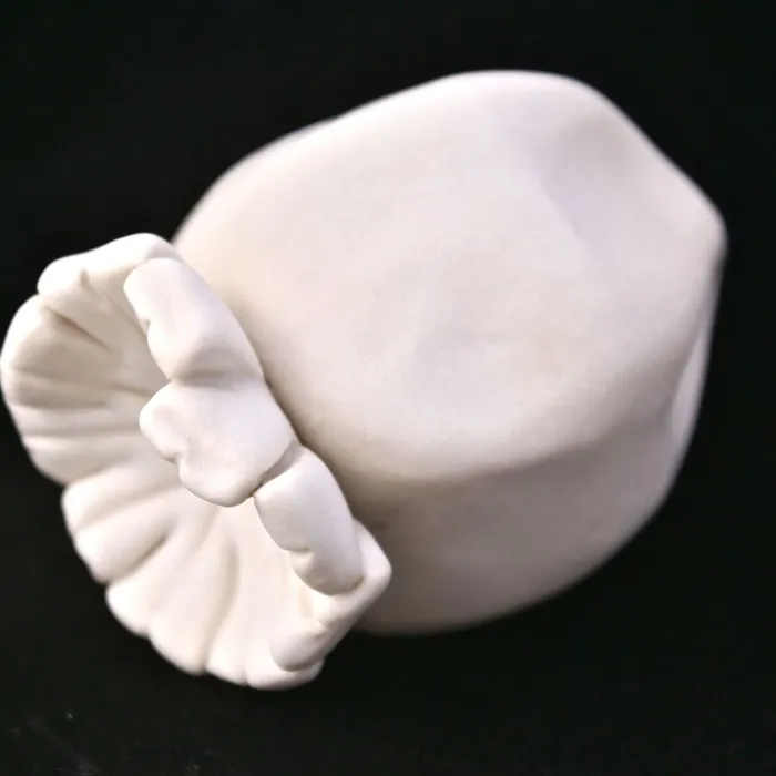 Poppy Pod shaker
