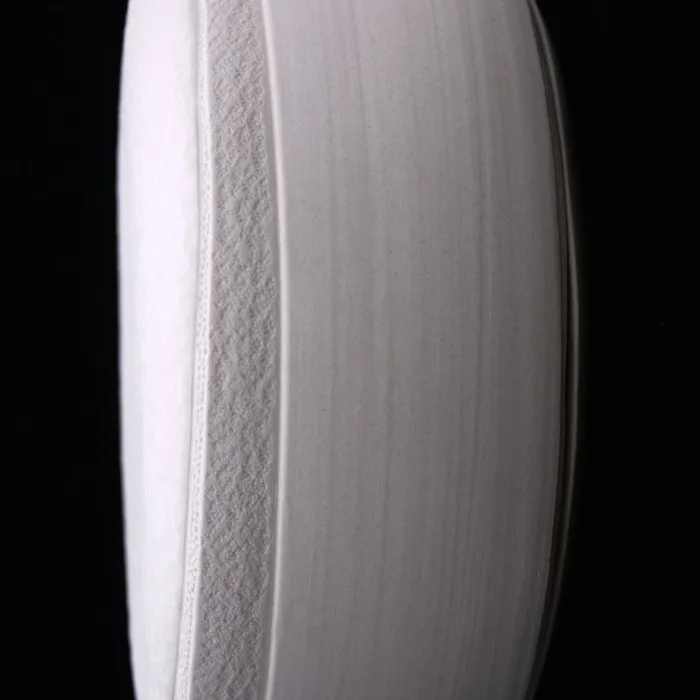 Centric Diatom