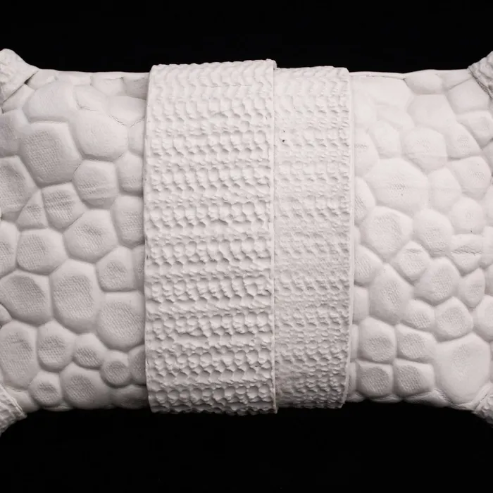 Pillow diatom #1