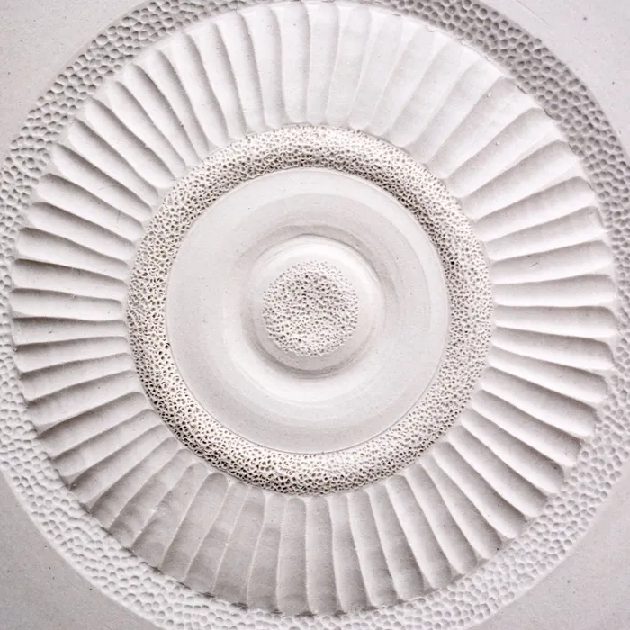 Diatom Box, detail