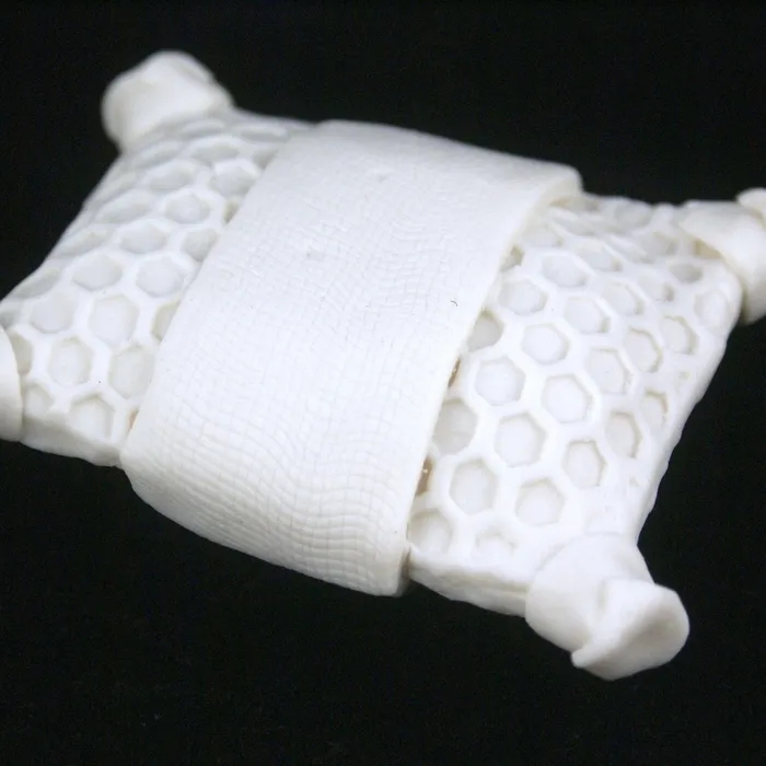 Pillow diatom #3