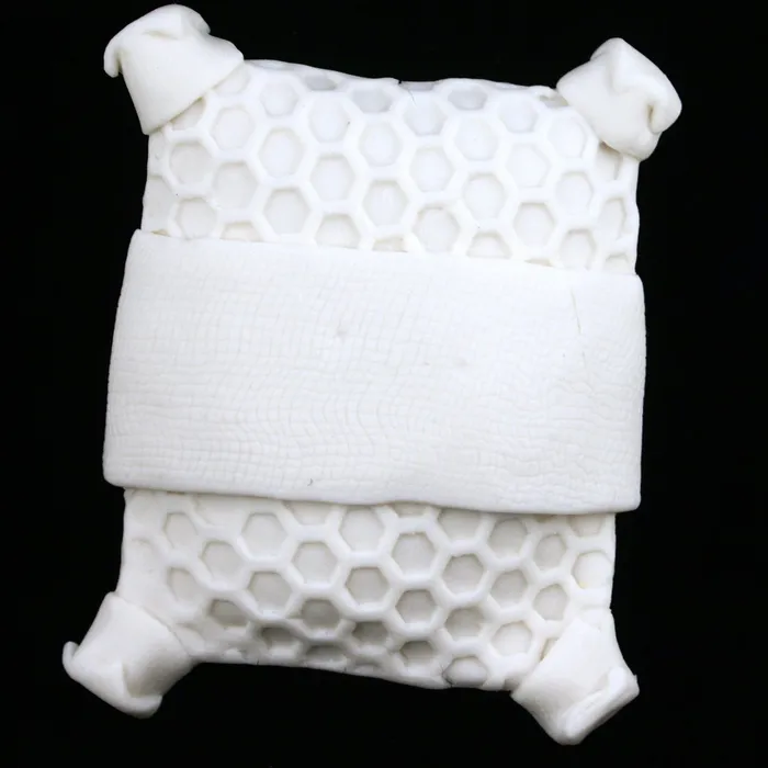 Pillow Diatom #3