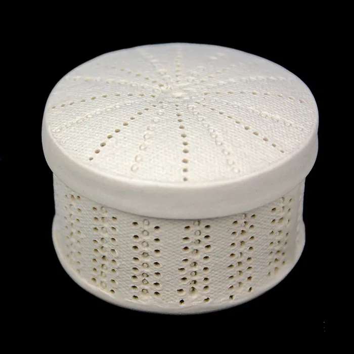 small centric diatom box