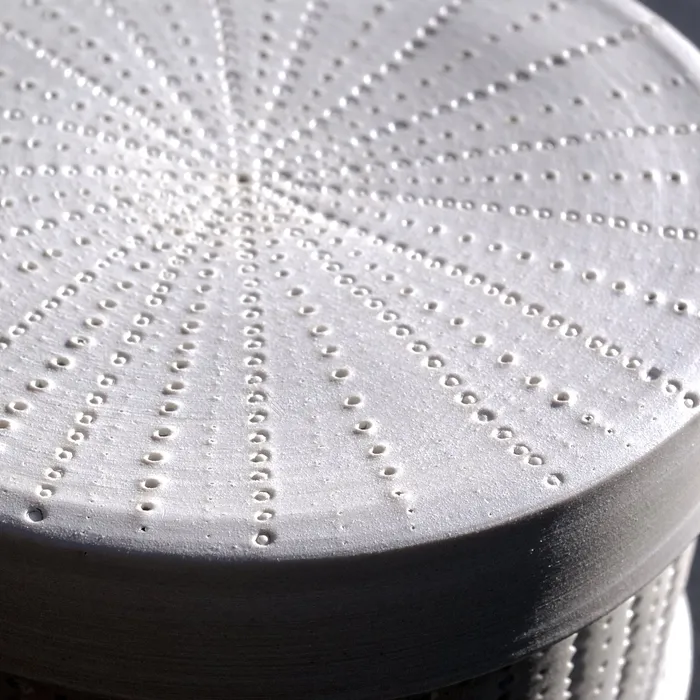 Centric Diatom box, detail