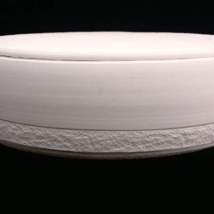 Centric Diatom