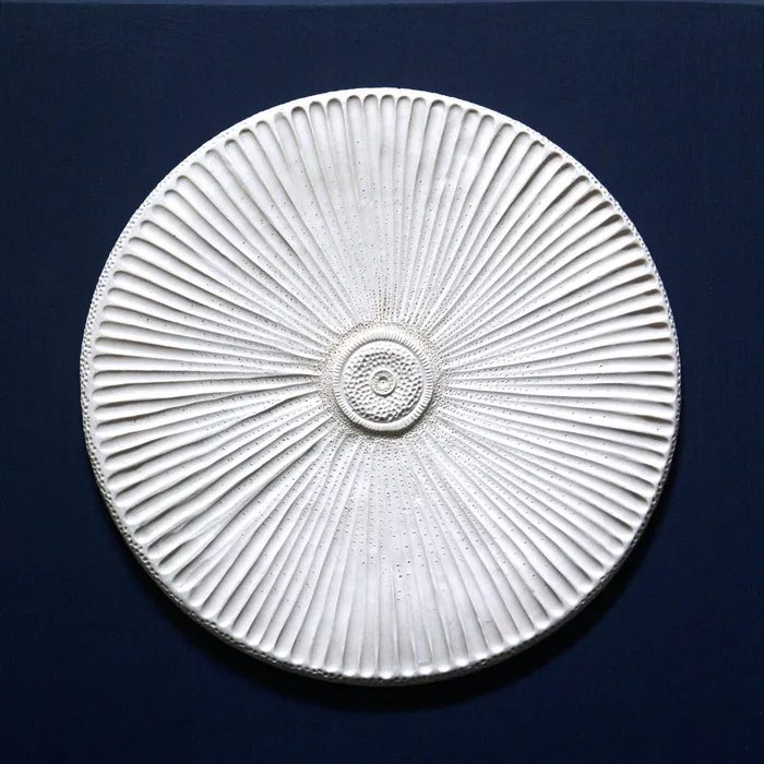 "Cyclotella" wall piece
